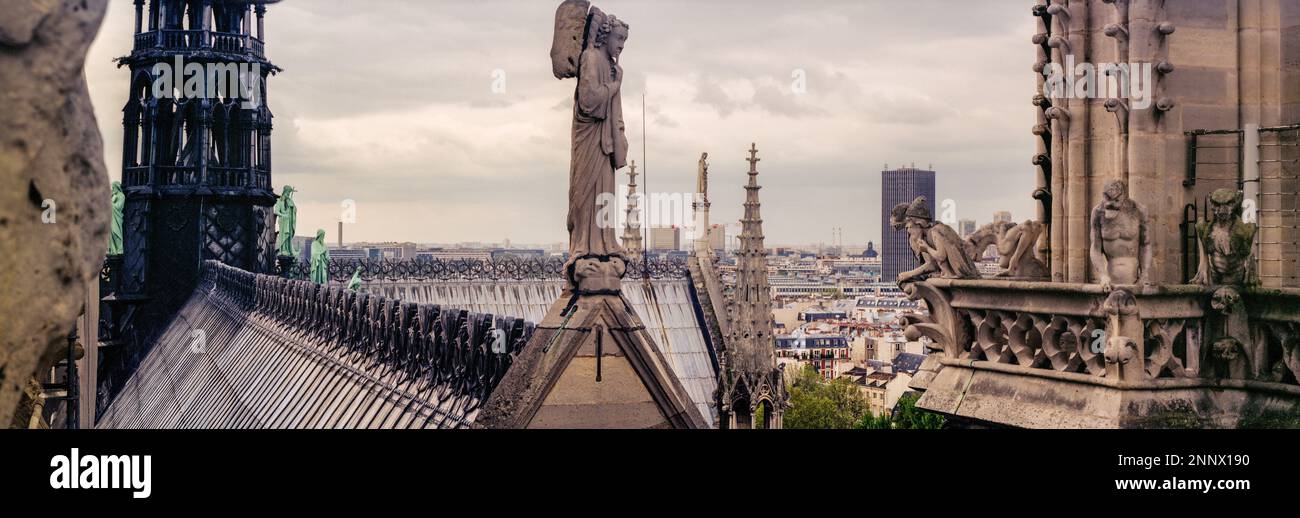 Blick auf das Dach der Kathedrale Notre Dame, Paris, Frankreich Stockfoto