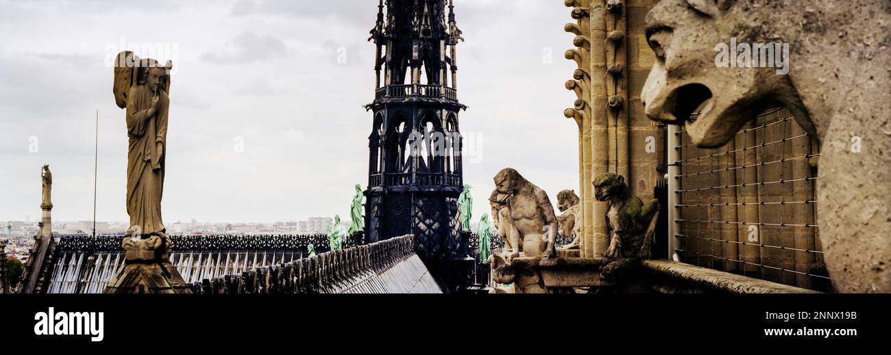Blick auf das Dach der Kathedrale Notre Dame, Paris, Frankreich Stockfoto