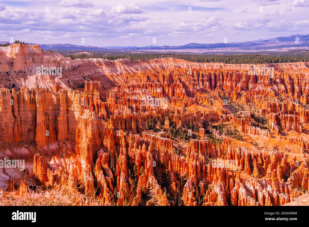 Der Bryce Canyon in Utah, USA, lockt mit Hoodoo-Felsformationen Stockfoto