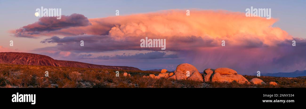 Landschaften mit Felsbrocken bei Sonnenuntergang, Granite Mountains, Mojave National Preserve, Kalifornien, USA Stockfoto