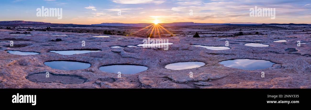Bei Sonnenaufgang gibt es in der Wüste Wasserlöcher, das Bears Ears National Monument, Echo Mesa, Utah, USA Stockfoto