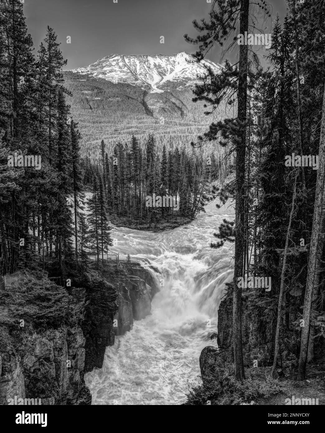 Landschaft mit Wasserfall, Wald und Bergen, Sunwapta Falls, Sunwapta River, Alberta, Kanada Stockfoto