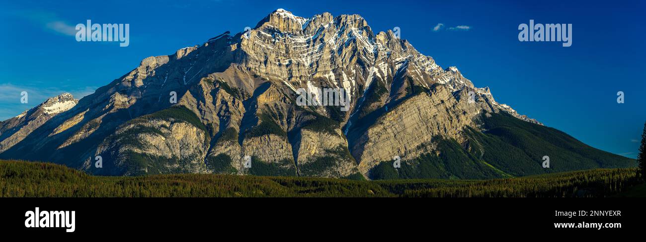 Der Cascade Mountain erhebt sich über dem Wald, Alberta, Kanada Stockfoto