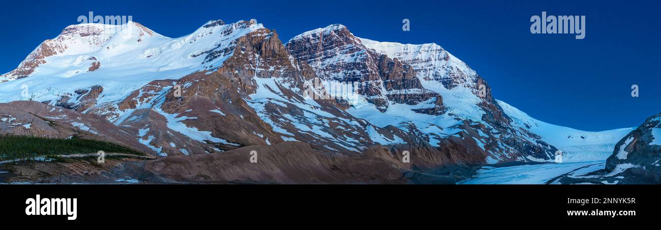 Mount Athabasca und Athabasca Glacier, Alberta, Kanada Stockfoto