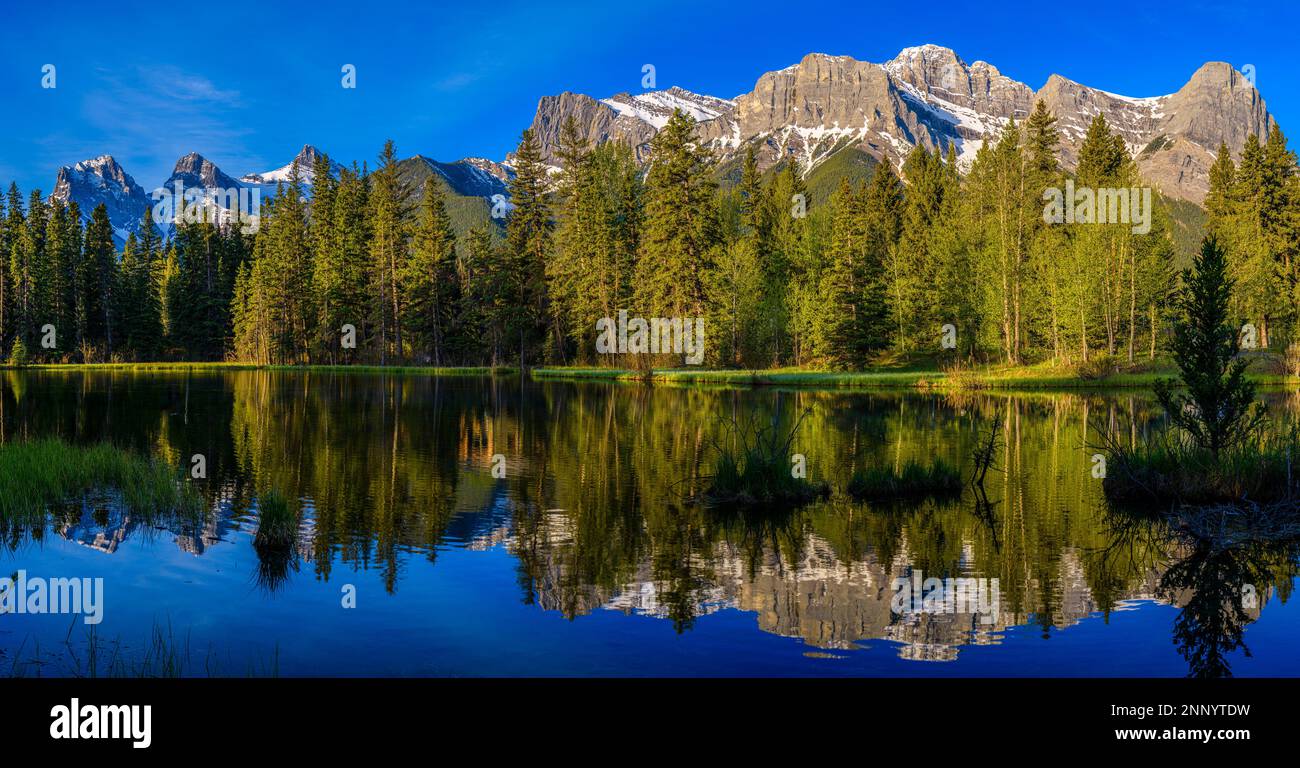 Reflexionen in Spring Creek Pond, Three Sisters Mountain, Mount Lawrence Grassi, Canmore, Alberta, Kanada Stockfoto