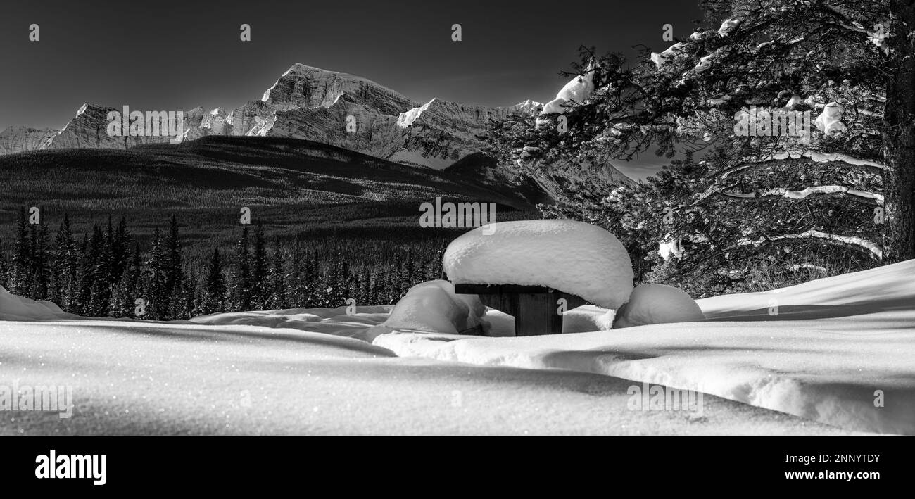 Picknicktisch bedeckt mit Schnee und Storm Mountain, Alberta, Kanada Stockfoto