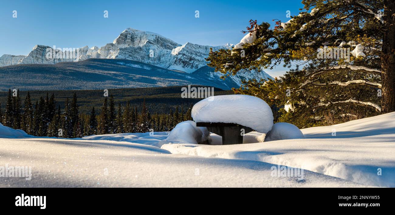 Picknicktisch bedeckt mit Schnee und Storm Mountain, Alberta, Kanada Stockfoto
