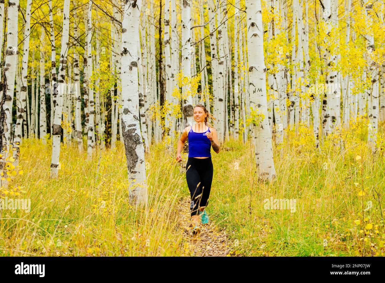 Frau, die im Herbst im Birkenwald in Durango, Colorado, USA joggt Stockfoto