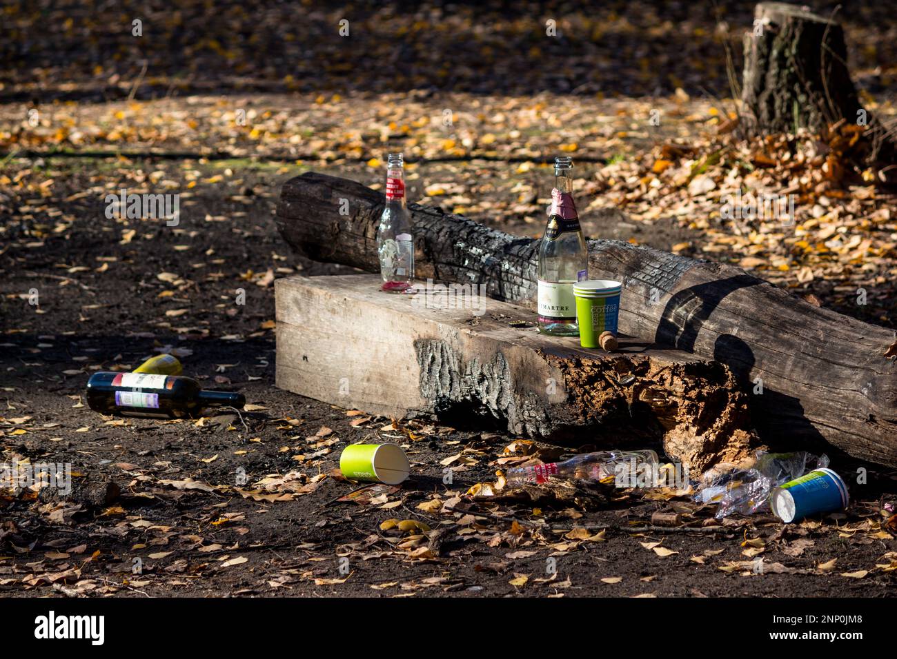 Glasflaschen und Plastikbecher, die nach dem Trinken von Alkohol durch ein Unternehmen in der Natur zurückgelassen wurden: Russland - Oktober 2022 Stockfoto