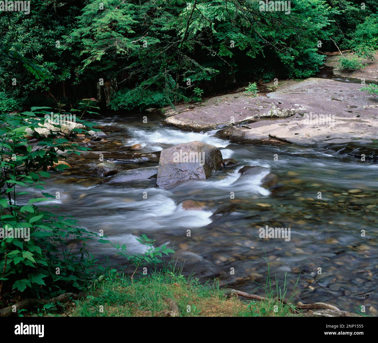 Fluss, der durch einen Wald, Nantahala fällt, Nantahala National Forest, North Carolina, USA Stockfoto