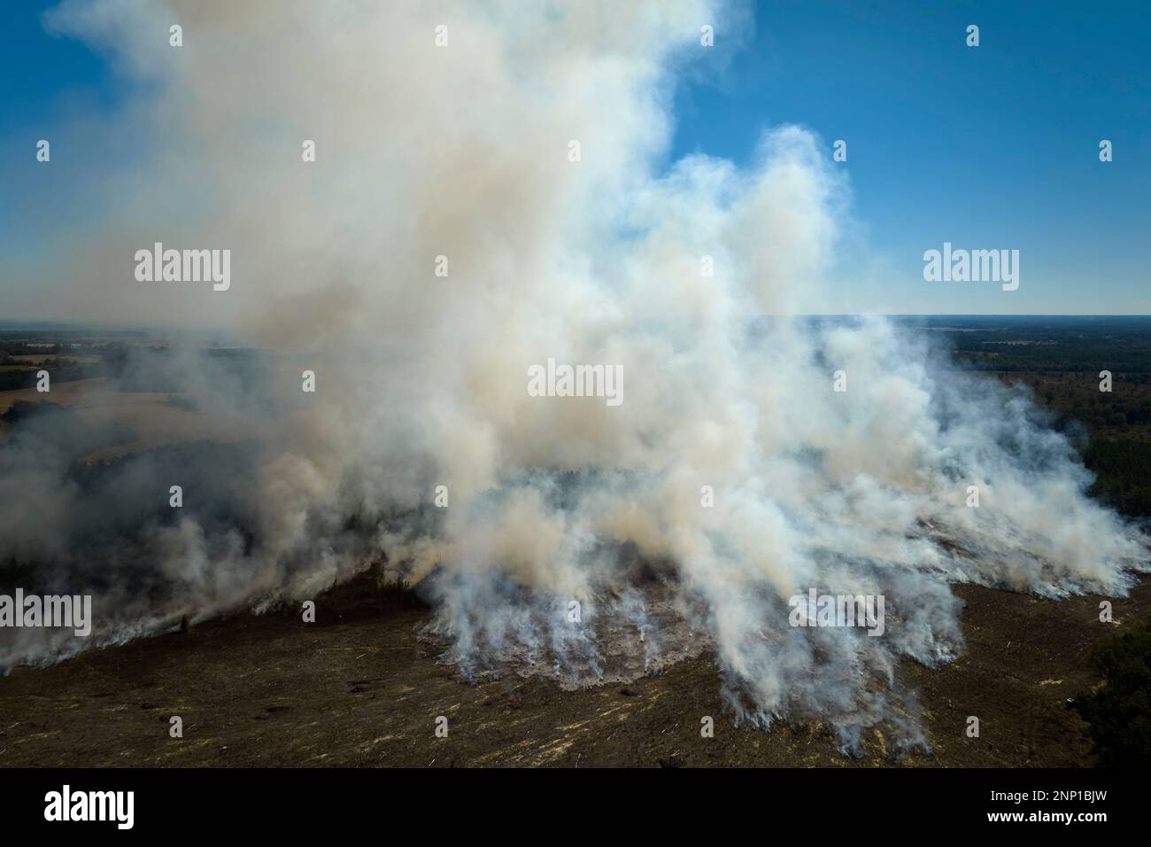 Blick von oben auf den dichten Rauch von Wald und Feld auf Feuer, der die verunreinigende Luft aufsteigt. Konzept der Naturkatastrophe. Stockfoto