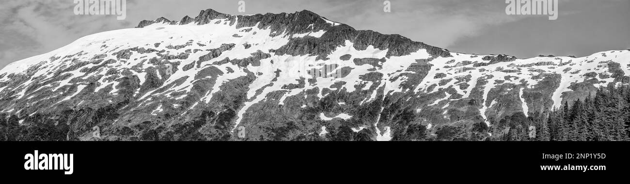 College Fjord, Prince William Sound, Alaska, USA Stockfoto