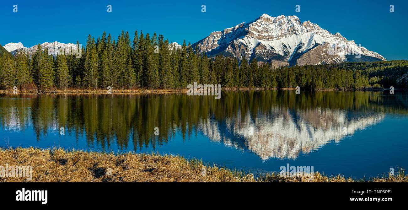 Cascade Mountain, Carrot Creek Pond, Alberta, Kanada Stockfoto