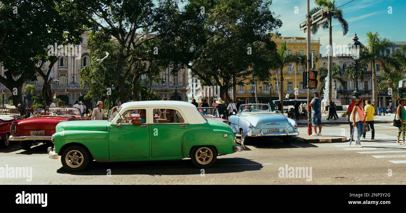 Alte Autos auf einer Straße, Havanna, Kuba Stockfoto