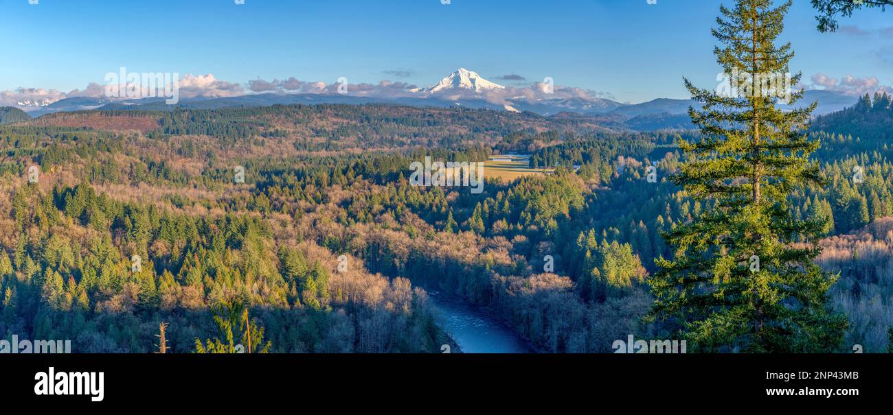 Berge und Wälder, Jonsrud Viewpoint, Oregon, USA Stockfoto