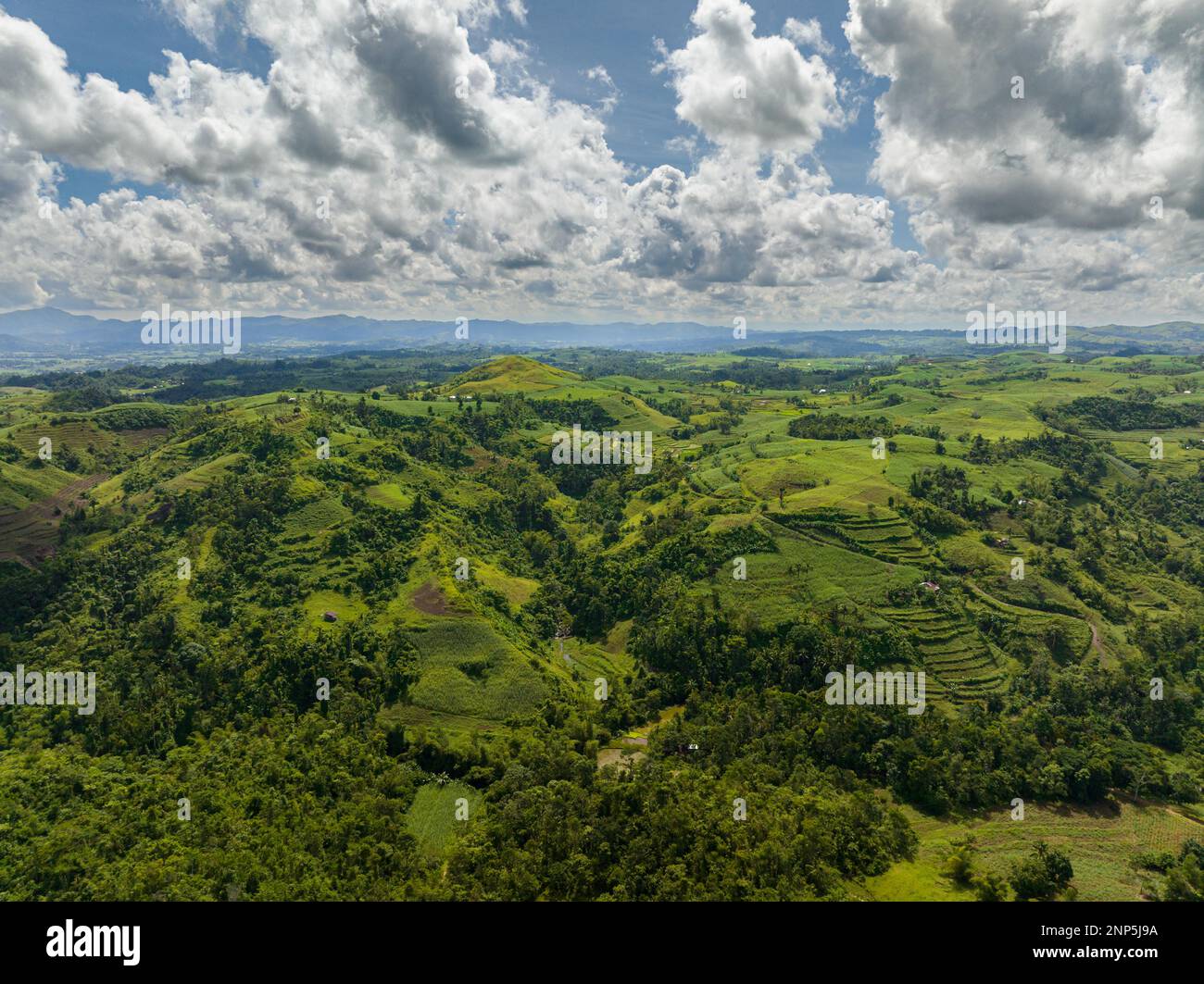 Luftdrohne aus dem Tal mit Ackerland und Zuckerrohrplantagen. Negros, Philippinen Stockfoto