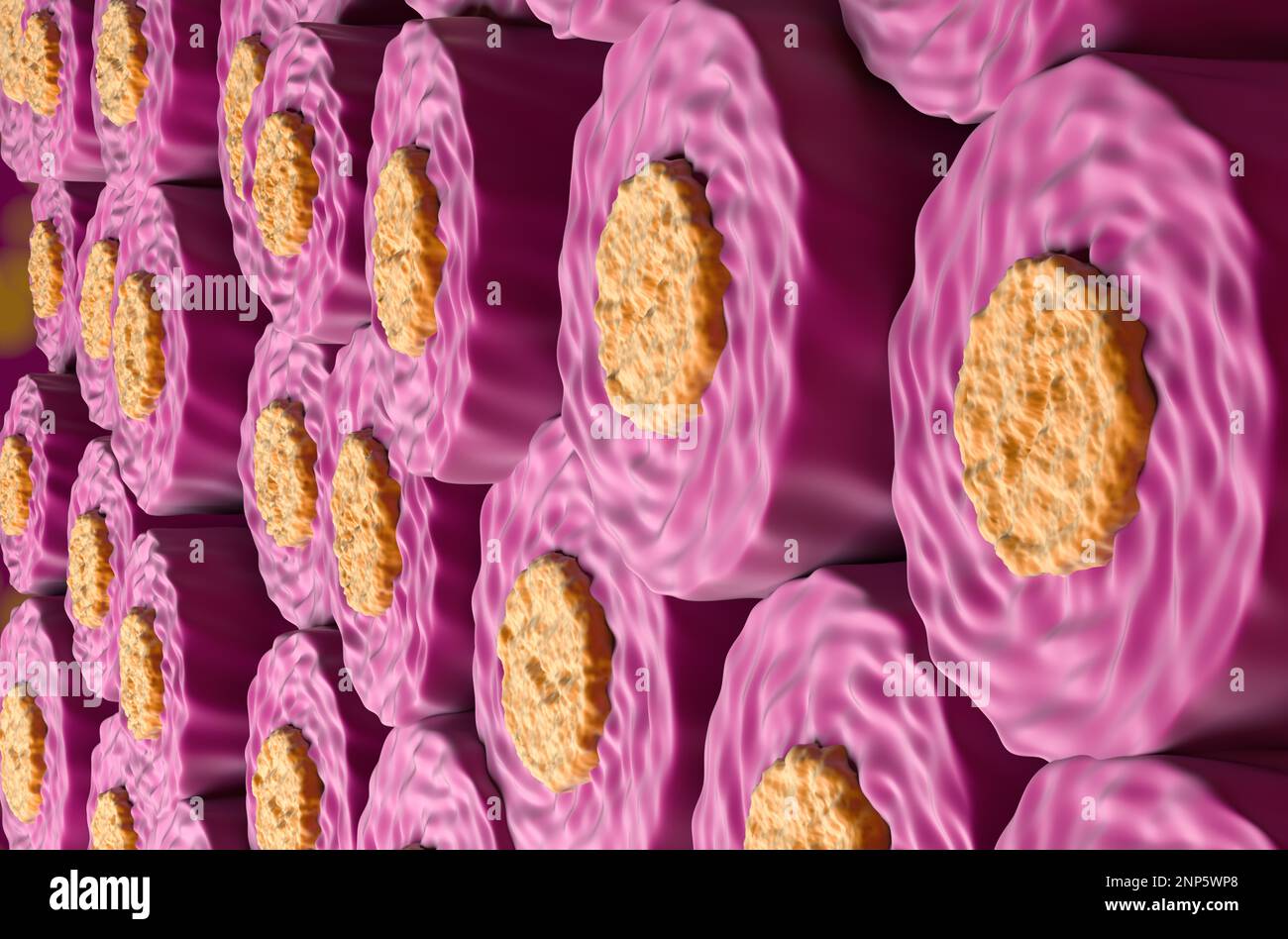 Gesunder menschlicher Nervenfaserschnitt (neuronfasern) - 3D-Darstellung der Nahaufnahme Stockfoto