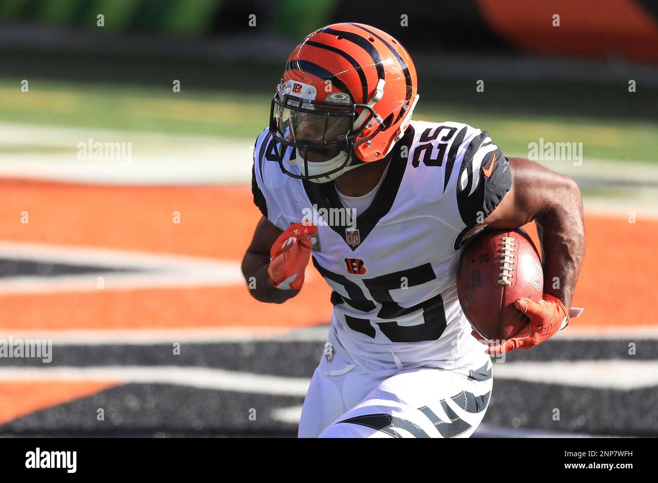 CINCINNATI, OH - NOVEMBER 29: Cincinnati Bengals running back Giovani Bernard (25) warms up before the game against the New York Giants and the Cincinnati Bengals on November 29, 2020, at Paul Brown Stadium in Cincinnati, OH. (Photo by Ian Johnson/Icon Sportswire) (Icon Sportswire via AP Images) Stockfoto