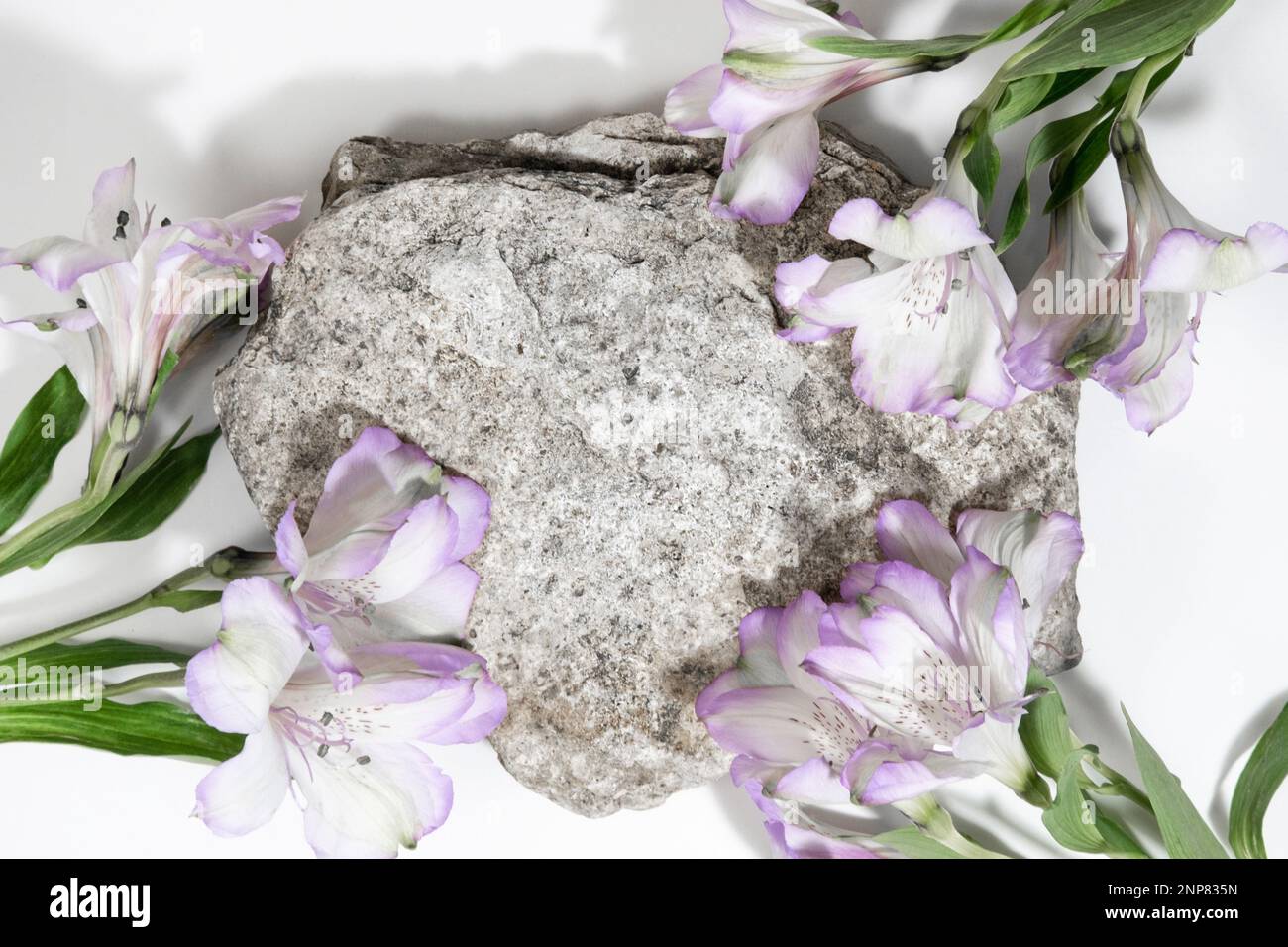 Betonsteinpodium auf weißgrauem Hintergrund mit harten Schatten und Pflanzen, Blumen. Minimale leere Präsentationsszene für kosmetische Produkte. Geometrisches Bild Stockfoto