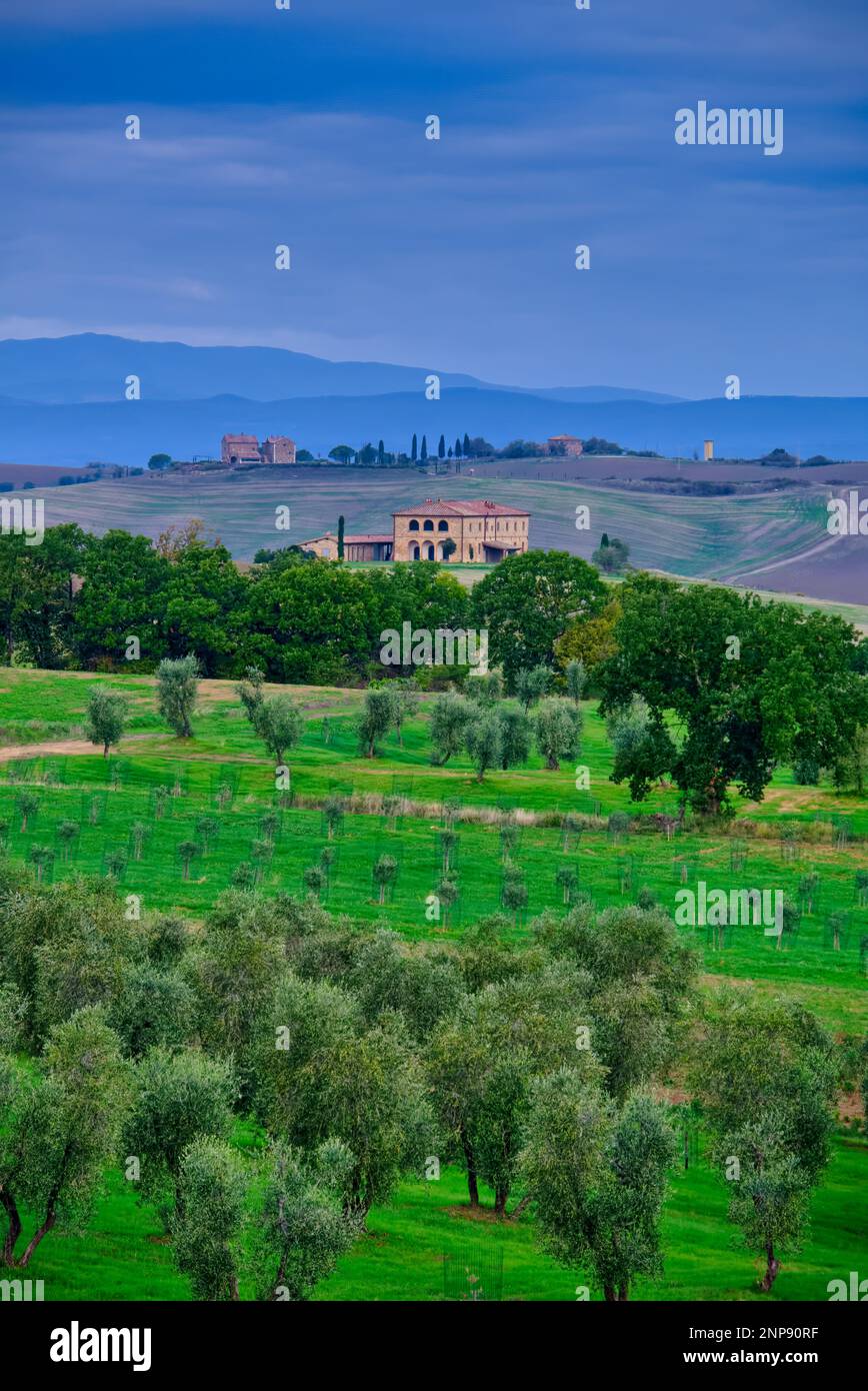 Lage: 43° 4' 19,48' N, 11° 37' 8,92' E Collombuti, San Quirico d'Orcia, Unione dei Comuni Amiata Val d'Orcia, Siena, Toskana, 53026, Italien Stockfoto