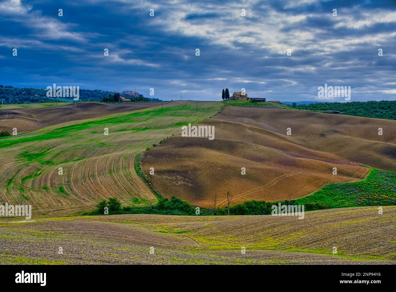 Position:43° 4' 56,48' N, 11° 38' 48,13' E entnommen @Siena, Italien Siena, Toskana, 53026, Italien Stockfoto