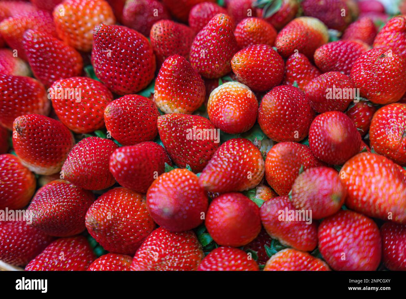 Hintergrund aus erntefrischen Erdbeeren direkt über Stockfoto