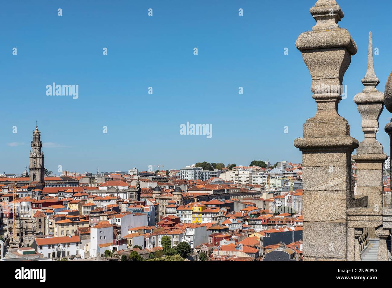 Sonniger Nachmittagsblick auf die traditionellen roten Dächer, die die malerischen terrassenförmigen Häuser rund um den Kathedralenberg mit dem Clerigos Tower, Porto, bedecken Stockfoto