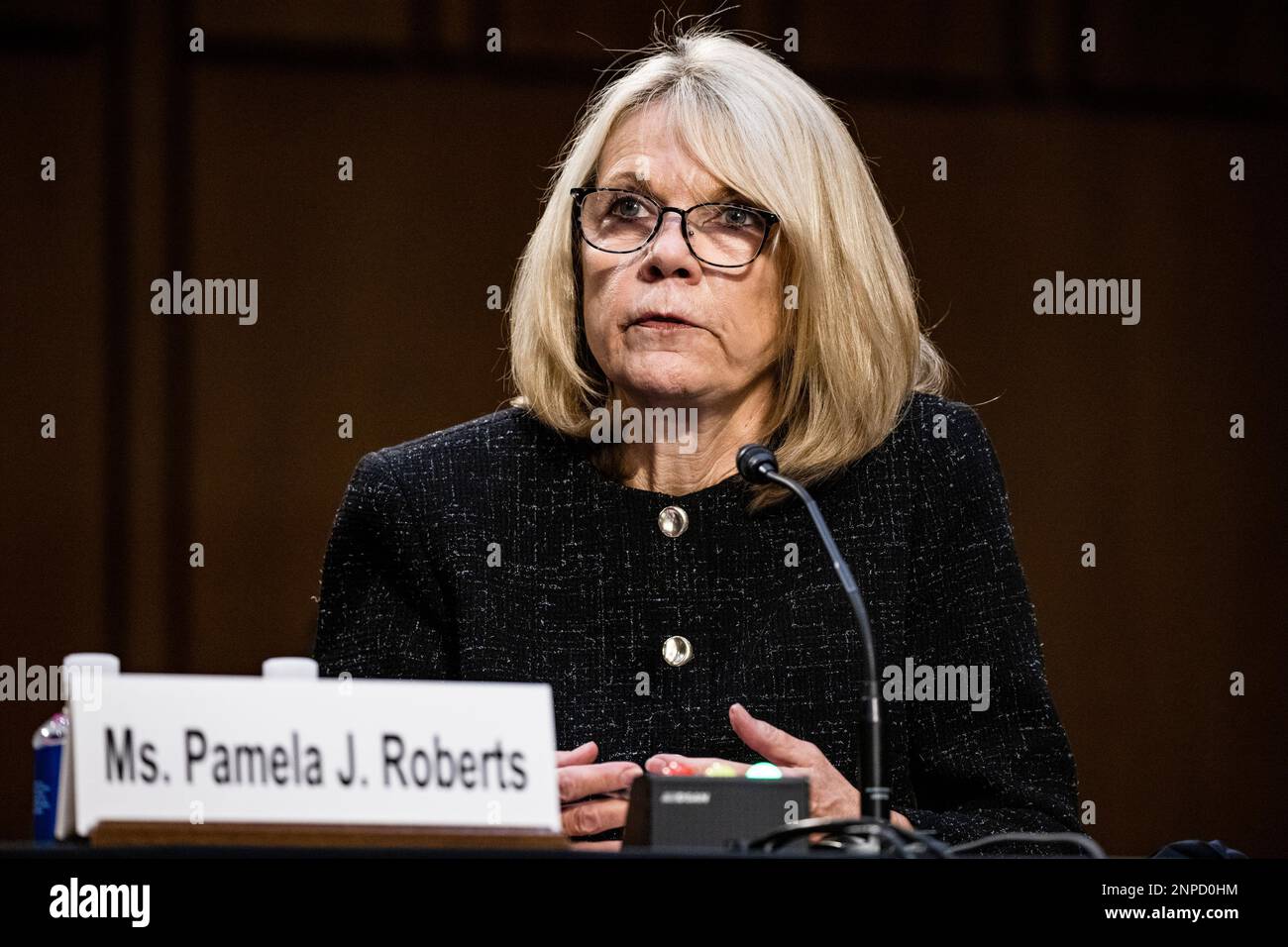 Pamela J. Roberts of Columbia, representing the American Bar Association, testifies during the confirmation hearing of Supreme Court nominee Amy Coney Barrett before the Senate Judiciary Committee on Capitol Hill in Washington, Thursday, Oct. 15, 2020. (Samuel Corum/Pool via AP) Stockfoto