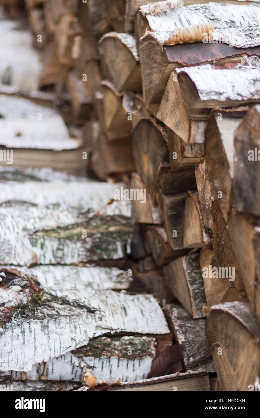 Ein Haufen Brennholz. Birkenrinde und Holzstämme. Ein Stapel Birkenstämme. Gehackter Baumstamm. Hartholz-Nahaufnahme. Ökologische Energie. Natürlicher Brennstoff. Landleben Stockfoto