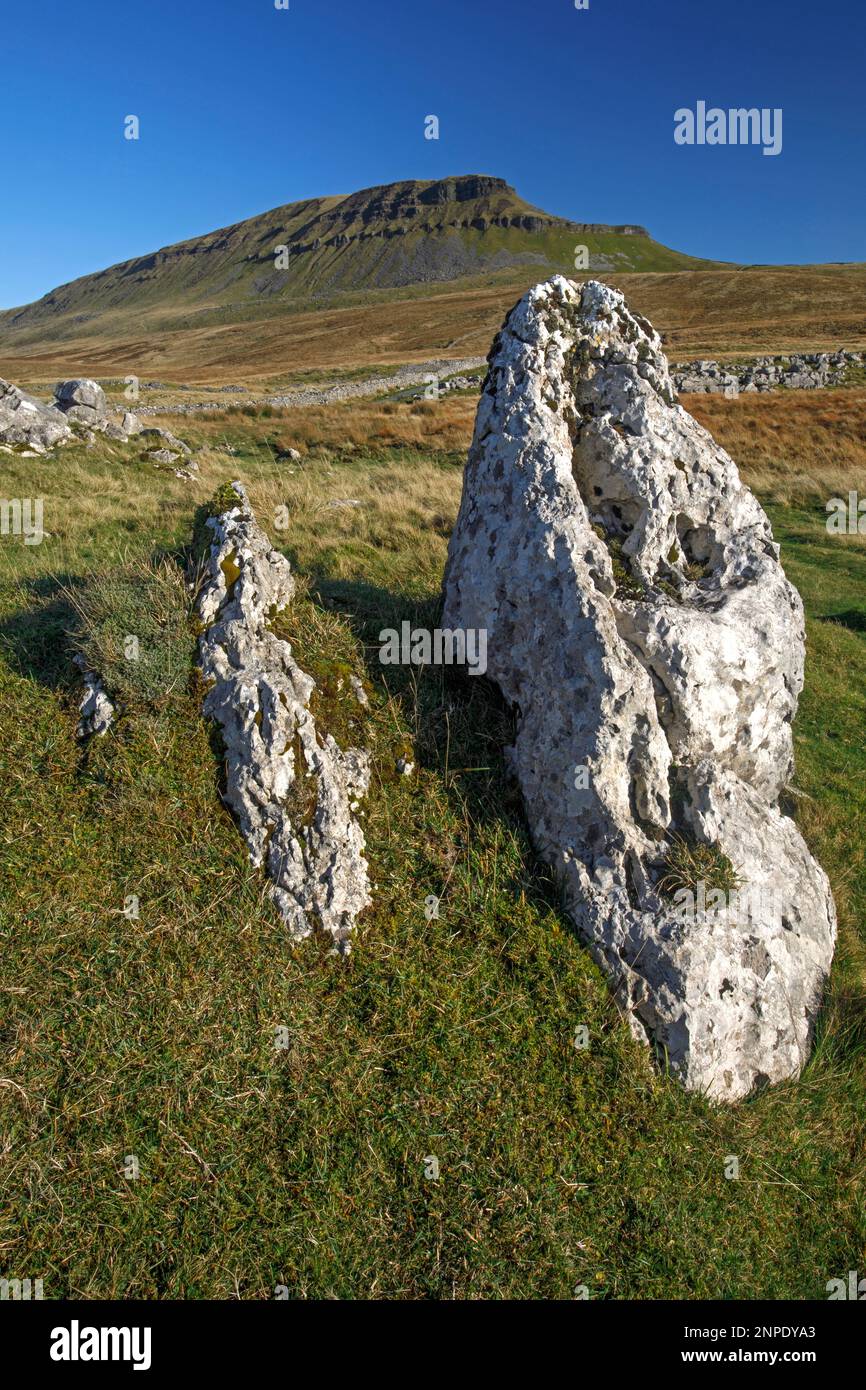 Penyghent und erodierte Kalksteine über Ribblesdale. Stockfoto