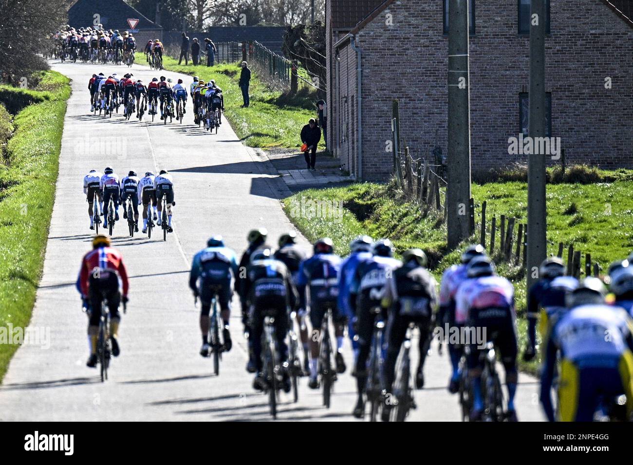 Stechelons während des eintägigen Radrennens Kuurne-Brüssel-Kuurne, 193 km von Kuurne über Brüssel nach Kuurne, Samstag, 25. Februar 2023. BELGA FOTO JASPER JACOBS Stockfoto