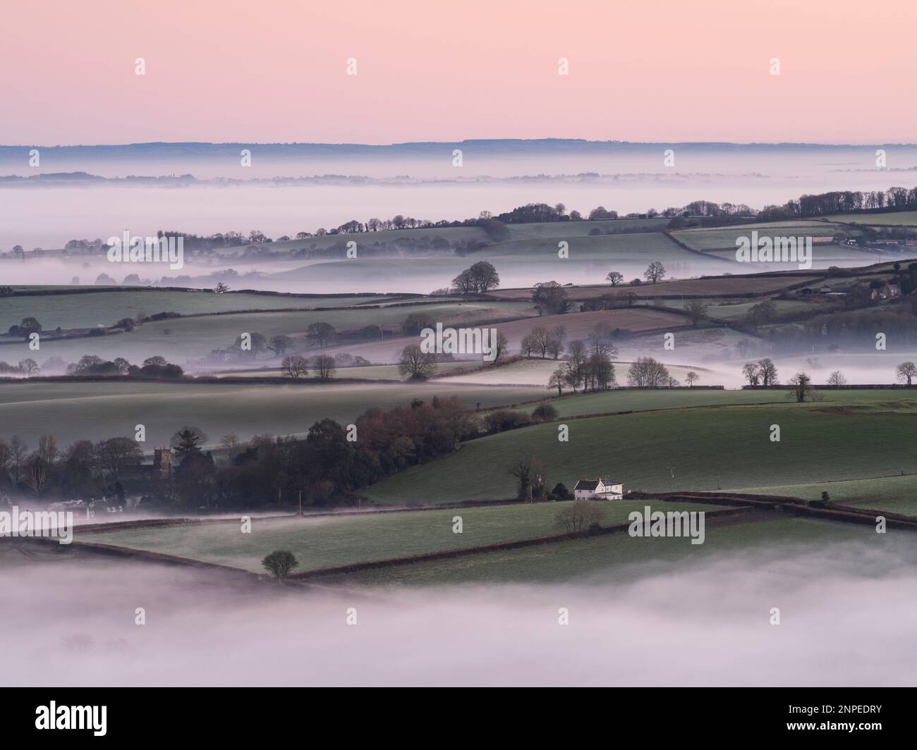 Nebel in den Feldern unter Pilsdon Pen in Dorset. Stockfoto