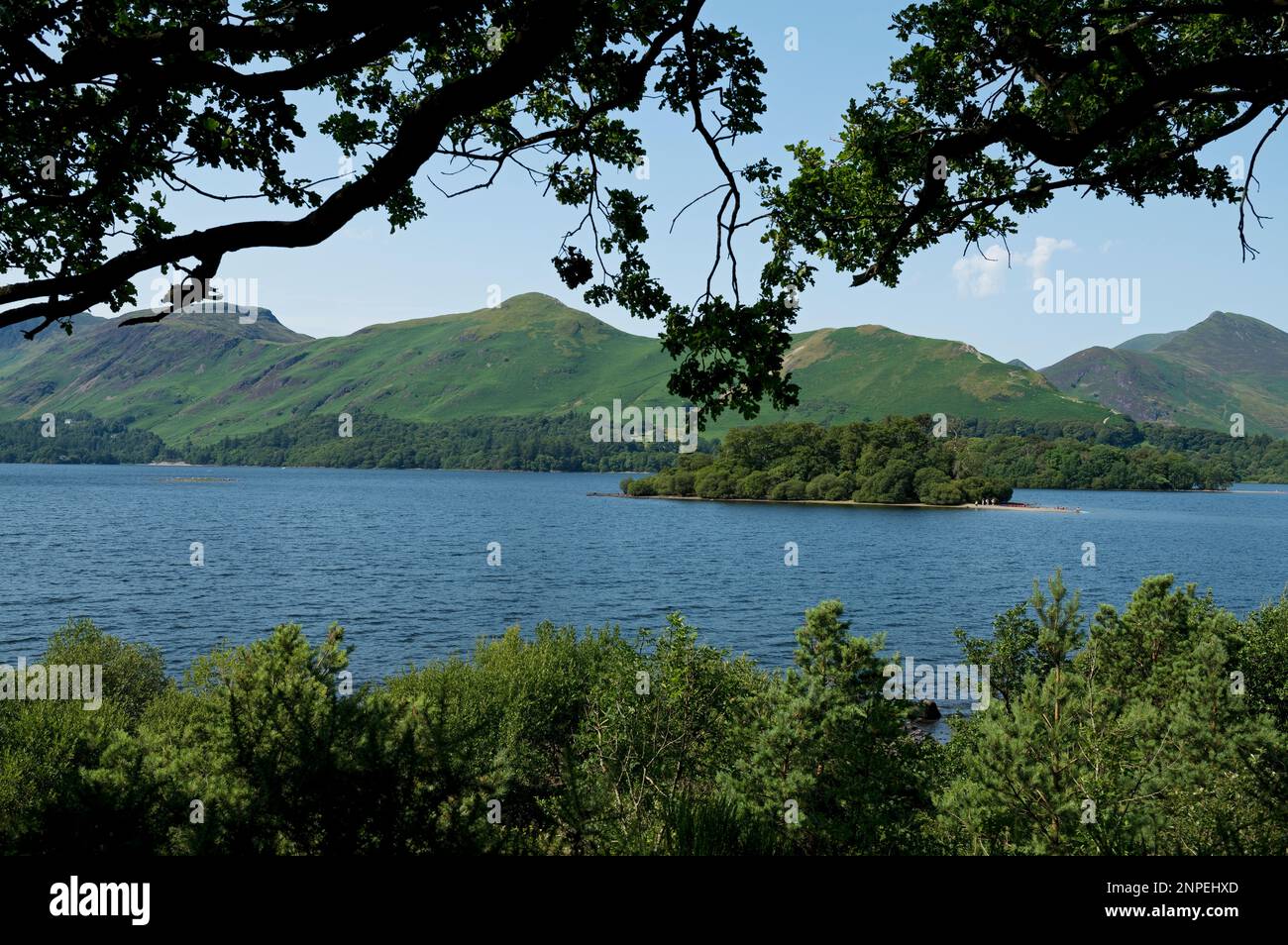 Blick über Derwentwater in Richtung Catbells und Causey Pike im Sommer. Stockfoto