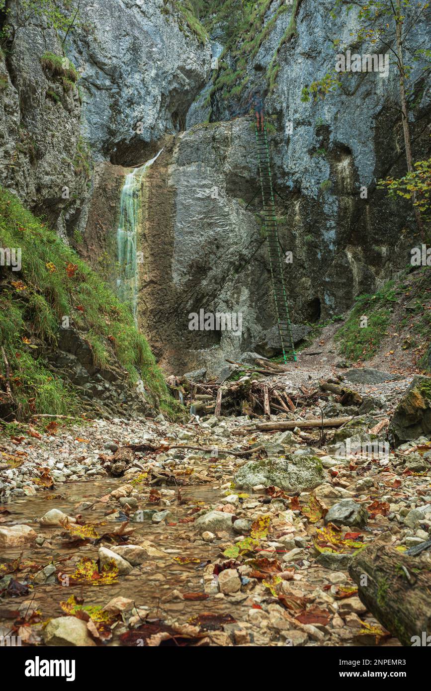 Schwieriger Pfad mit Leiter in der Nähe des Wasserfalls im Canyon des Nationalparks Slovak Paradise, Slowakei. Stockfoto