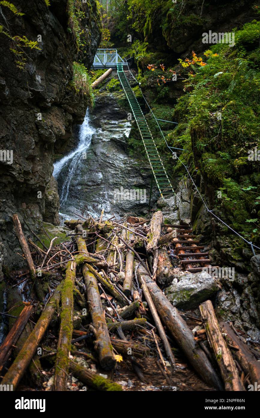 Schwieriger Pfad mit Leiter in der Nähe des Wasserfalls im Canyon des Nationalparks Slovak Paradise, Slowakei. Slowakei Stockfoto