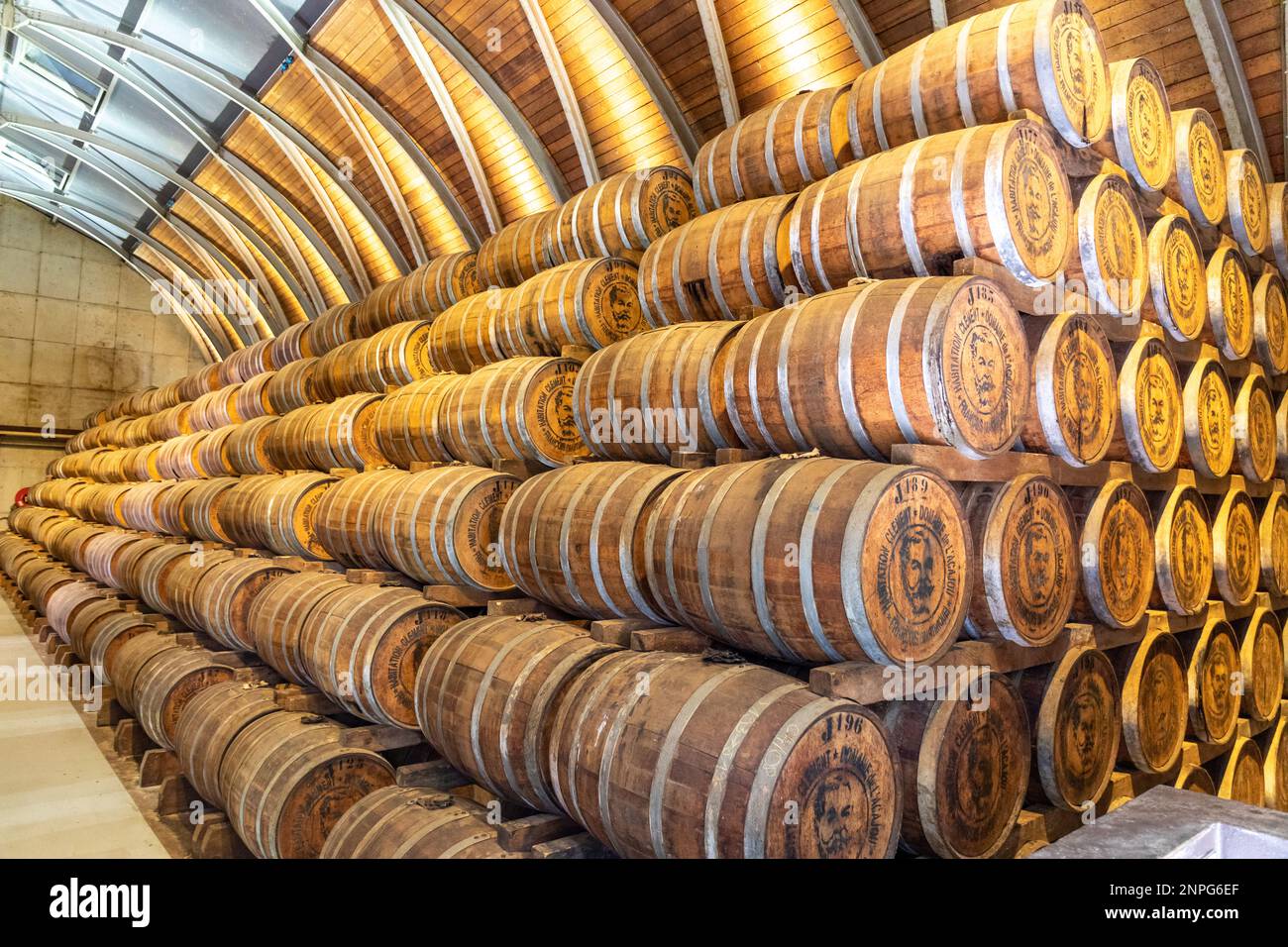 Martinique, FWI - Rhum-Fass-Lagerhaus in einer Brennerei Stockfoto