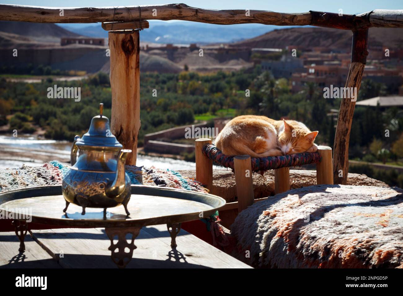 Katze schläft im marokkanischen Dorf, Orient, marokkanischer Teekessel Stockfoto