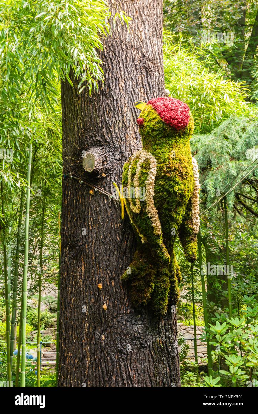 Blumenskulptur auf dem Tappeinerweg Trail. Promenade von Merano entlang des Flusses Passer, Merano in Südtirol, Provinz Bozen, Trentino Alto Adige, Italien Stockfoto