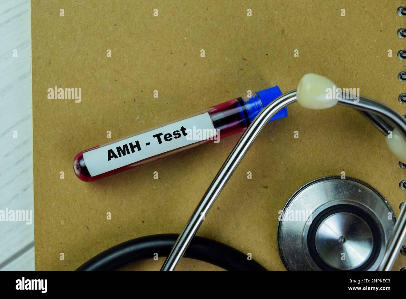 Konzept des AMH - Test mit Blutprobe. Gesundheitsfürsorge oder medizinisches Konzept Stockfoto