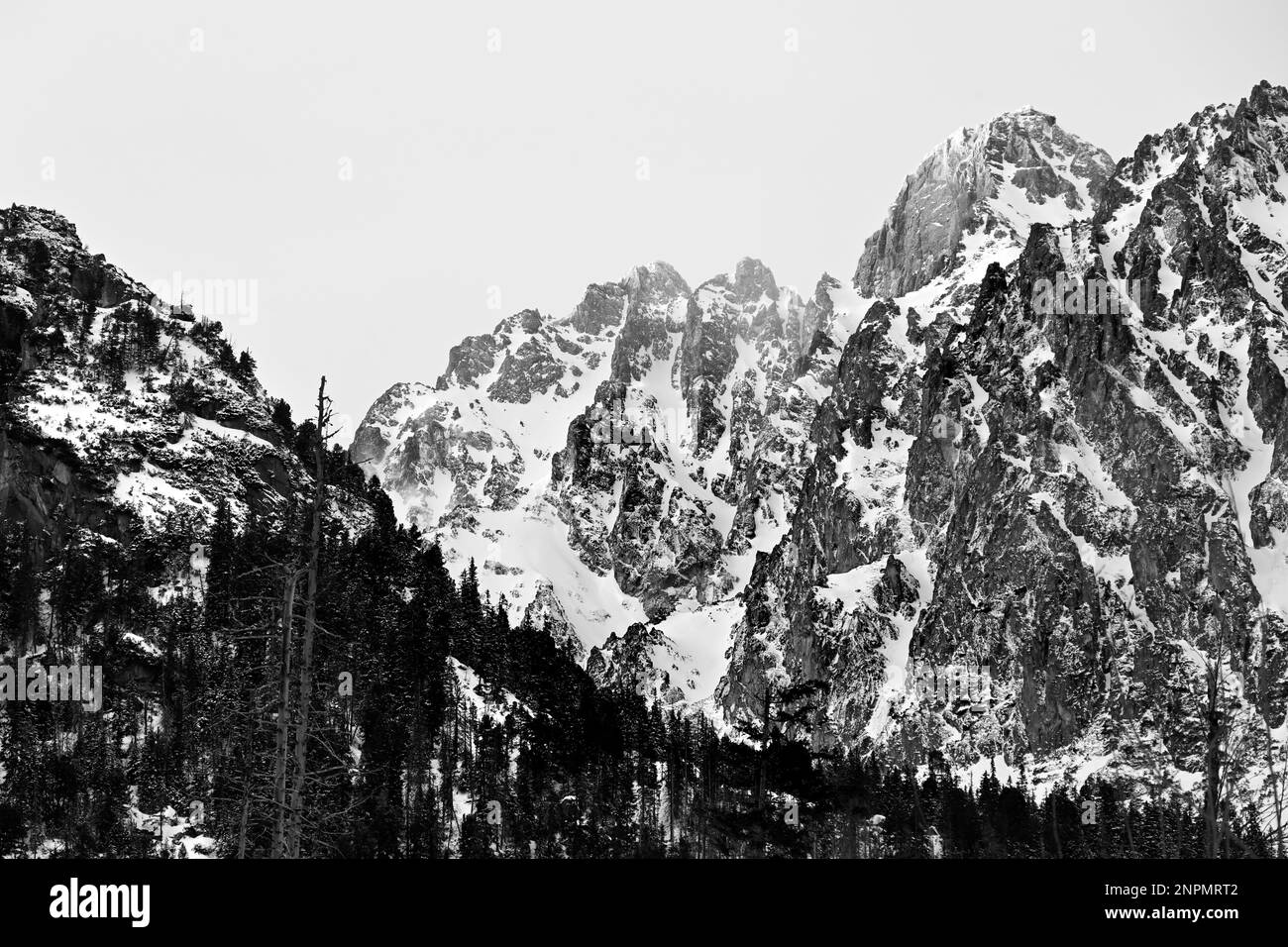 Gebirgskette Vysoké Tatry über Starý Smokovec mit Lomnický štít Gipfel in Schwarz und Weiß Stockfoto