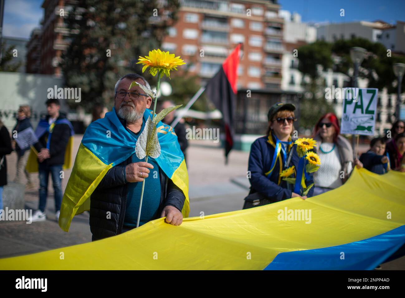 Madrid, Spanien. 26. Februar 2023. Ein Mann, der mit einer ukrainischen Flagge umhüllt ist, hält eine Sonnenblume und eine riesige ukrainische Flagge, während eines marsches durch die Straßen von Madrid, organisiert von ukrainischen Verbänden in Madrid, um ein Ende des Krieges am ersten Jahrestag des Beginns der russischen Invasion der Ukraine zu fordern. Kredit: SOPA Images Limited/Alamy Live News Stockfoto