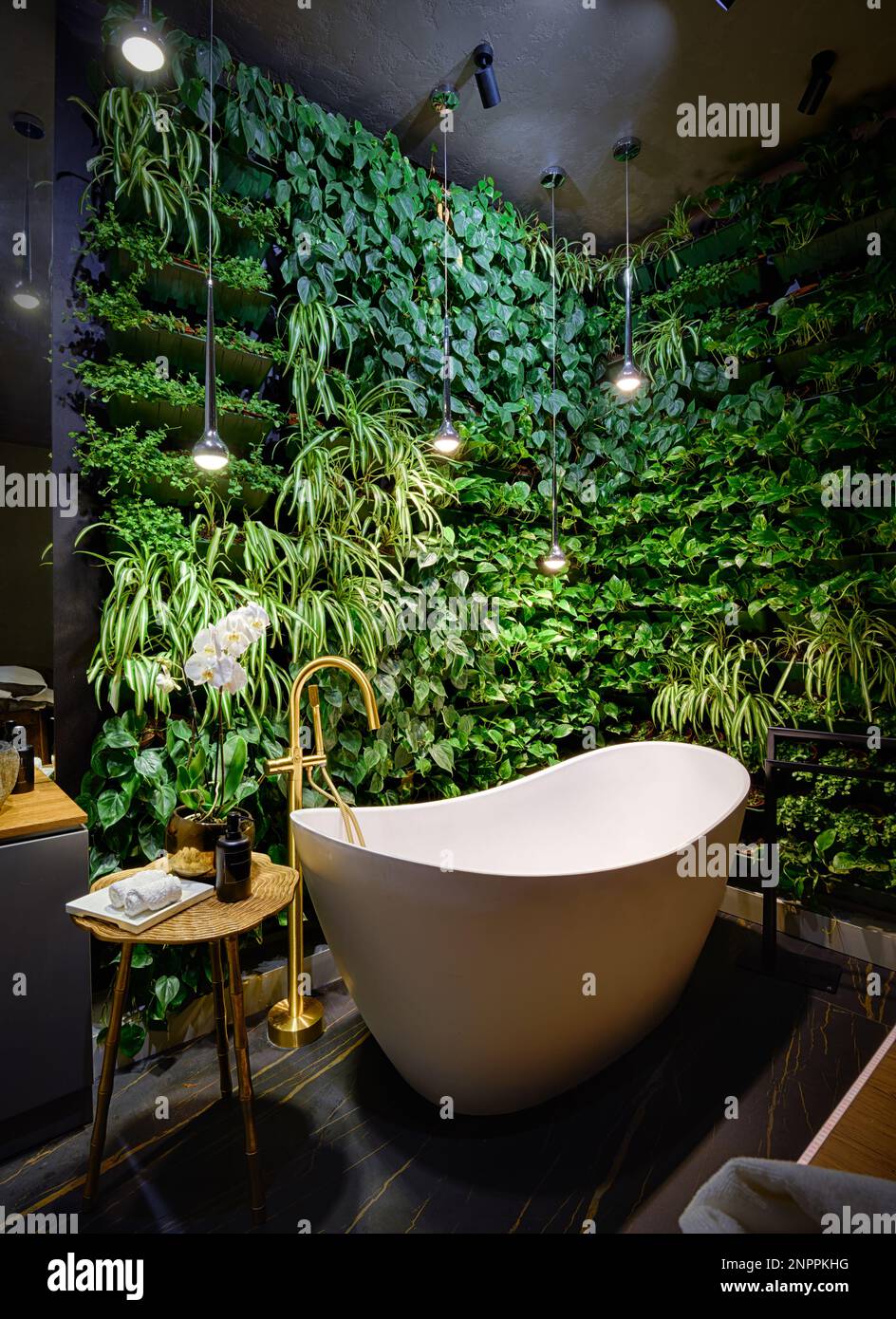 Bad im modernen Schönheitssalon, luxuriöses Bad im Spa mit vertikalem Garten. Vertikale Ansicht der grünen Pflanzenwand und Badewanne im Hotel. Konzept von Stockfoto