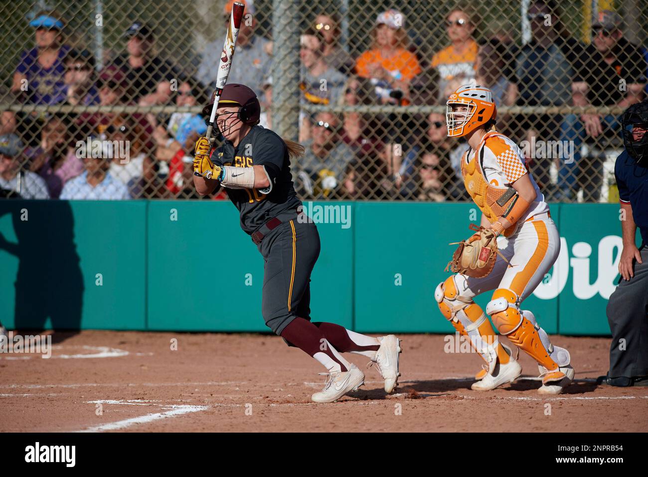Minnesota Gophers Katelyn Kemmetmueller (10) bats in front of catcher