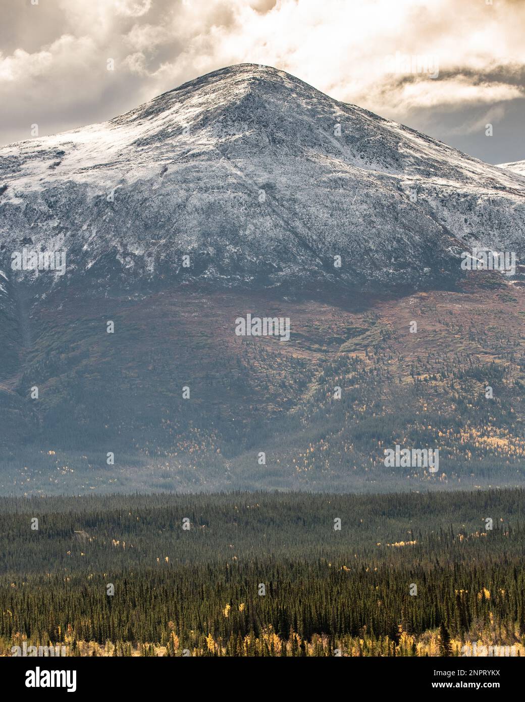 Unvergleichliche Aussicht auf die Wildnis außerhalb von Haines Junction im Sommer mit schneebedeckten Bergen und weitläufigen Ausblicken. Stockfoto