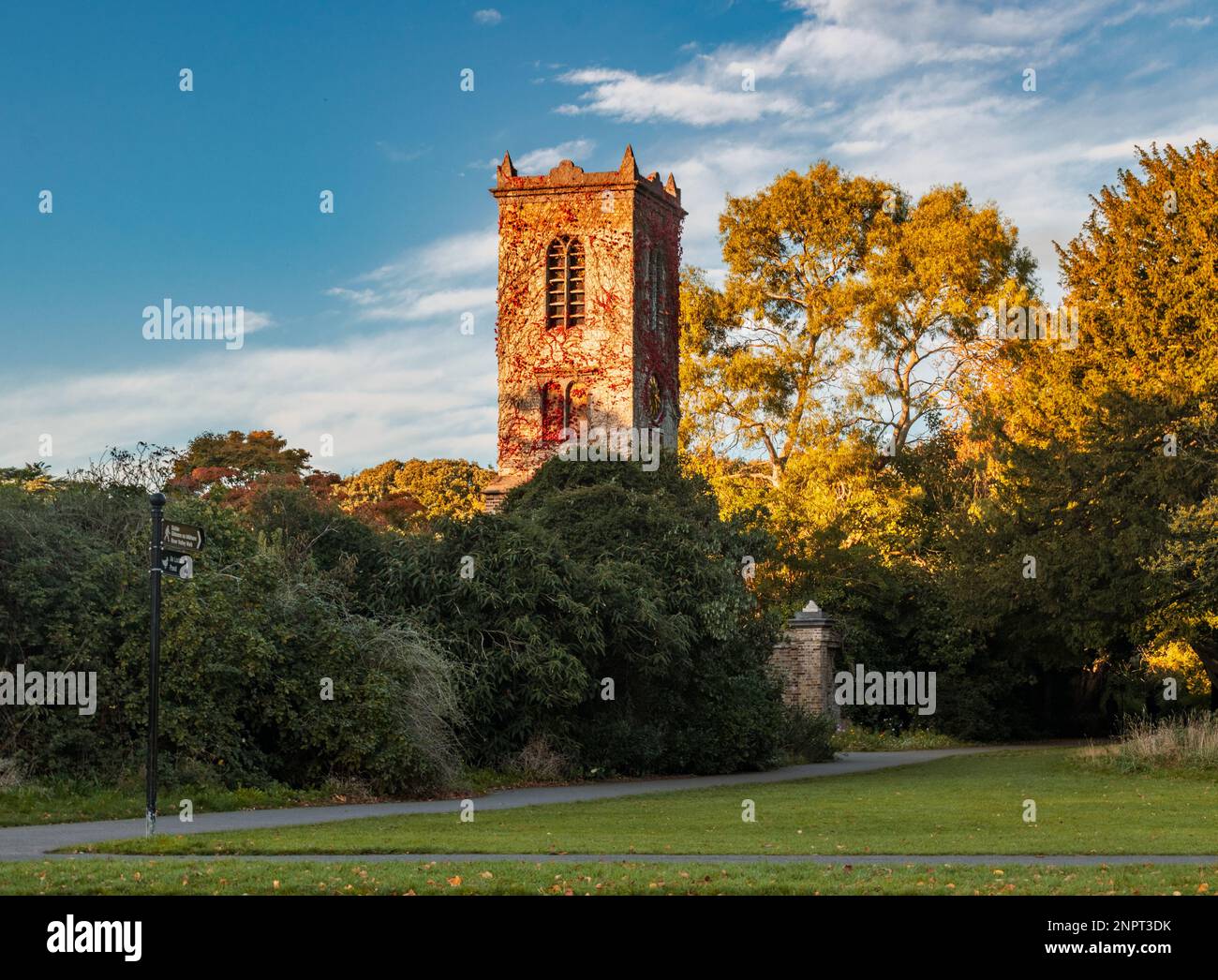 Der Uhrenturm im St. Anne's Park mit Abendlicht Stockfoto