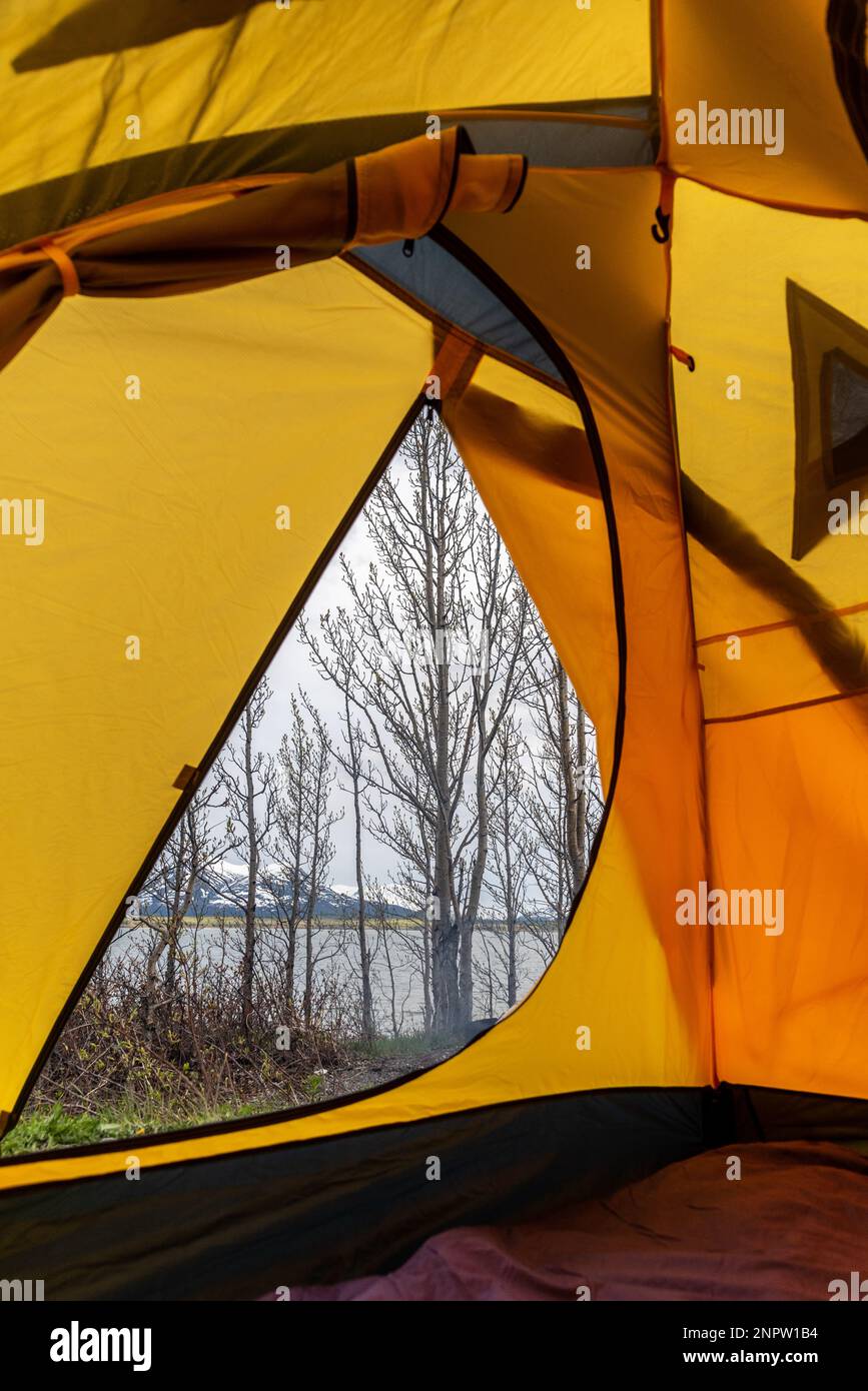Vor einem gelben Zelt, während Sie im Norden Kanadas campen, mit trockenen Bäumen im Frühling, die auf den Sommer warten, am bewölkten Nachmittag. Stockfoto