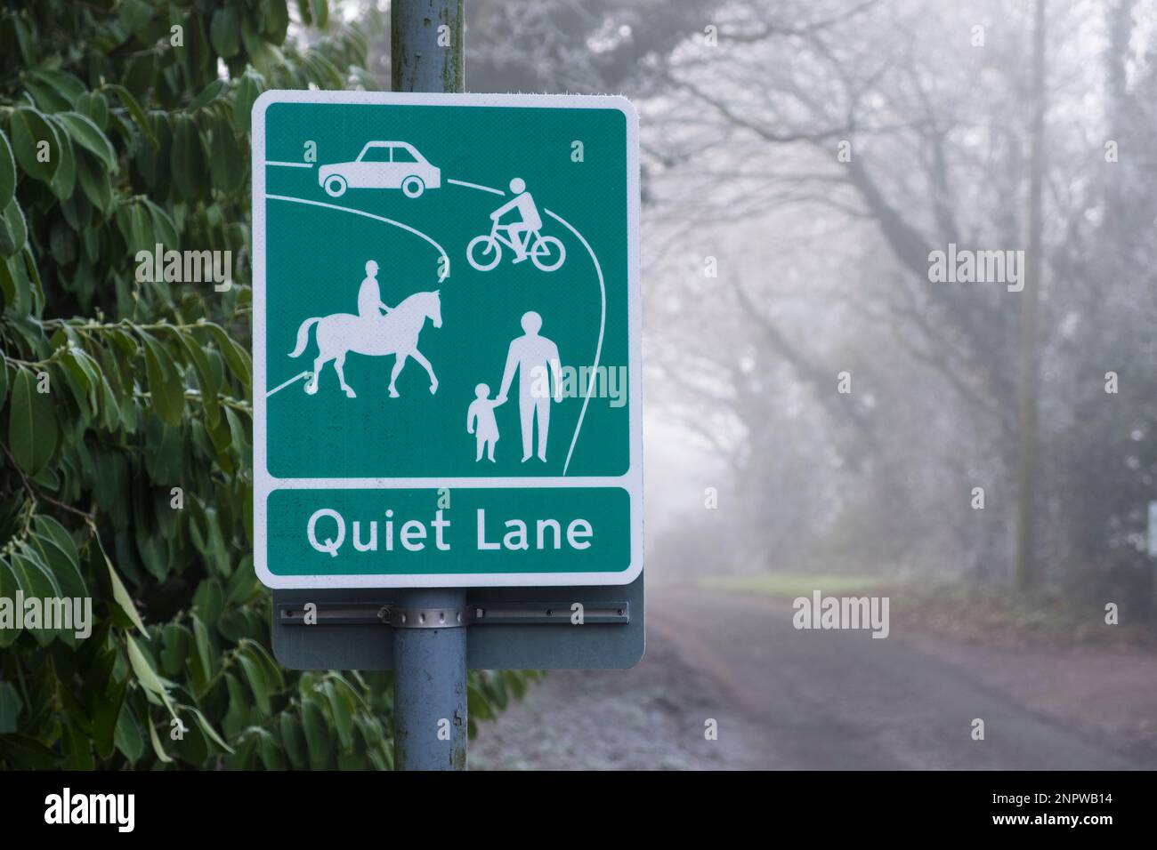 Schild "Quiet Lane" am Rande der Landstraße an einem kalten, nebeligen, frostigen Morgen. Suffolk, Großbritannien. Stockfoto