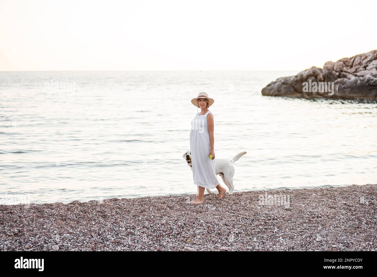 Schwangere zukünftige Mutter, die mit einem goldenen Retriever am Strand entlang spaziert. Eine Millennials-Frau mit weißem Hut hält den Hund an der Leine. Konz Stockfoto