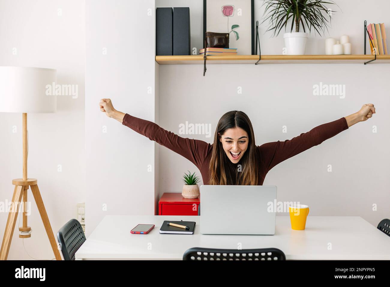 Aufgeregte junge Frau, die gute Nachrichten feiert und zu Hause an einem Laptop arbeitet Stockfoto