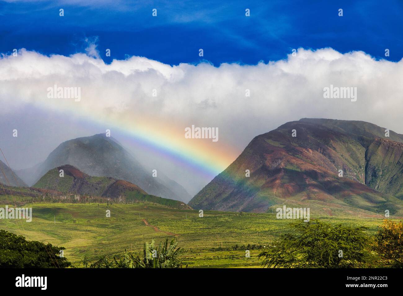 Schöner tief hängender Regenbogen über den westlichen maui Bergen. Stockfoto
